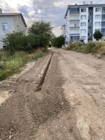 IMG_6484.jpeg