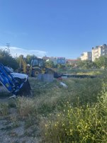 IMG_6508.jpeg