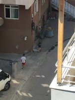 IMG_5506.jpg