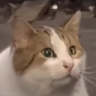 LeafyisMarshmallow