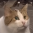 LeafyisMarshmallow